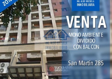 MONOAMBIENTE